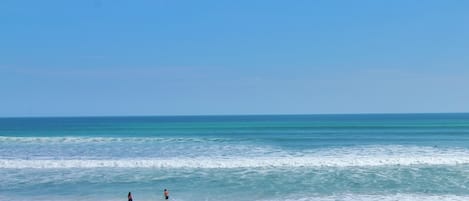 コンドミニアム キングベッド 1 台ソファーベッド付き (Sea Coast Gardens II 211) | ビーチ | ビーチの近く