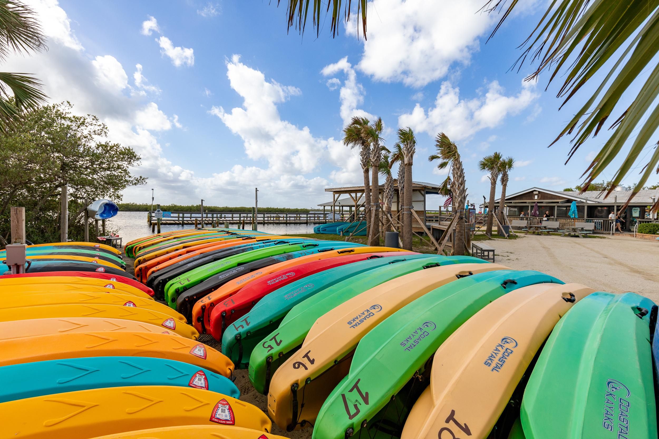 A row of colorful kayaks lined up on a sandy beach with palm trees and a clear sky in the background.