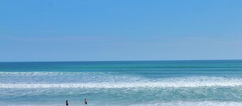 Sea Coast Gardens II 316