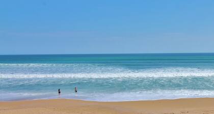 Sea Coast Gardens II 316