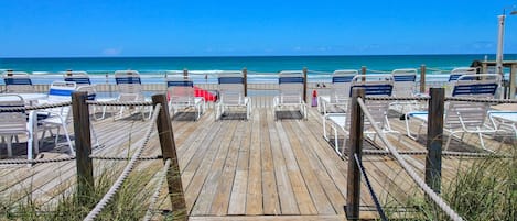 Condo, 1 King Bed with Sofa bed (Sea Coast Gardens III 208) | Property grounds
