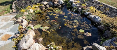 Boendeområde