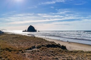 بالقرب من الشاطئ