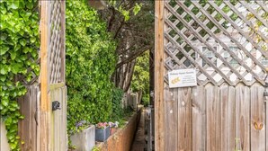 A wooden gate with a sign for 'Ordway Haven Guests' and a narrow pathway leading through a garden area with a wooden fence and greenery. - DC Guest Suite Walkable, Parking, Pets Welcome (Washington)
