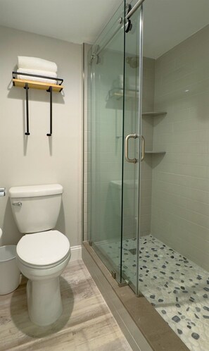 Douche, séchoir à cheveux, serviettes fournies
