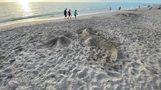 A beach with footprints in the sand and people walking along the shore. - Near beach• Hot tub• Heated pool• Fenced yard •Carport• Pet friendly•Private (Venice)