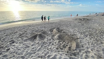 Tumbonas y toallas de playa