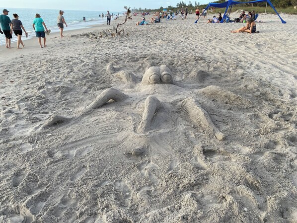 Sun loungers, beach towels
