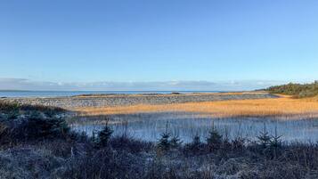 Tæt på stranden, fiskeri
