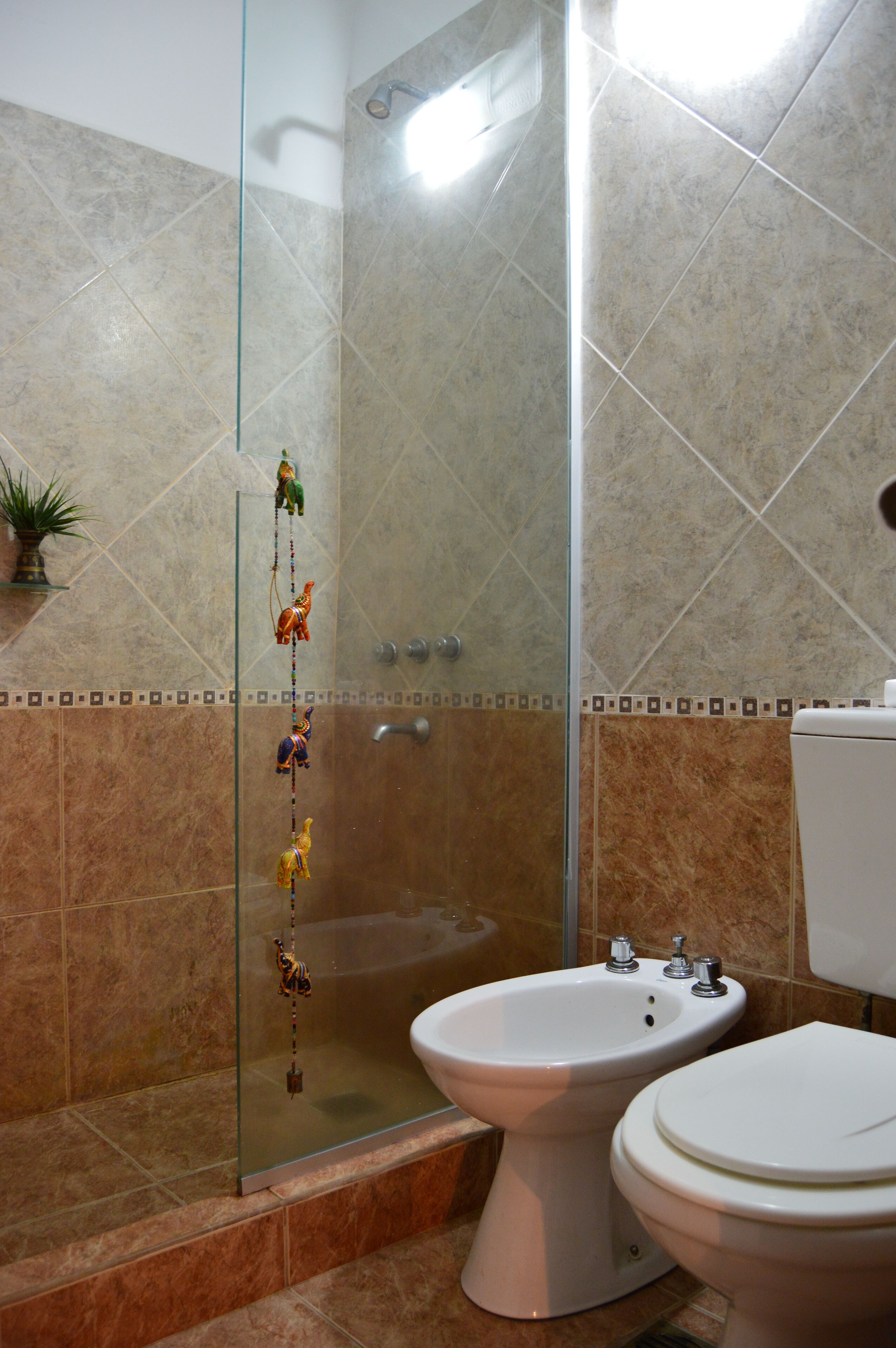 Ducha, bidet, papel higiénico