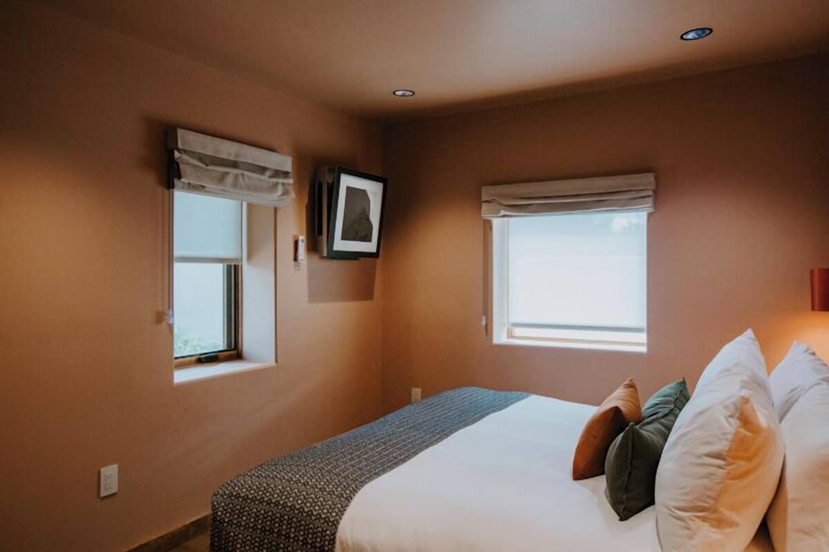A bedroom with a bed, two windows with curtains, a wall-mounted picture, and a ceiling light.