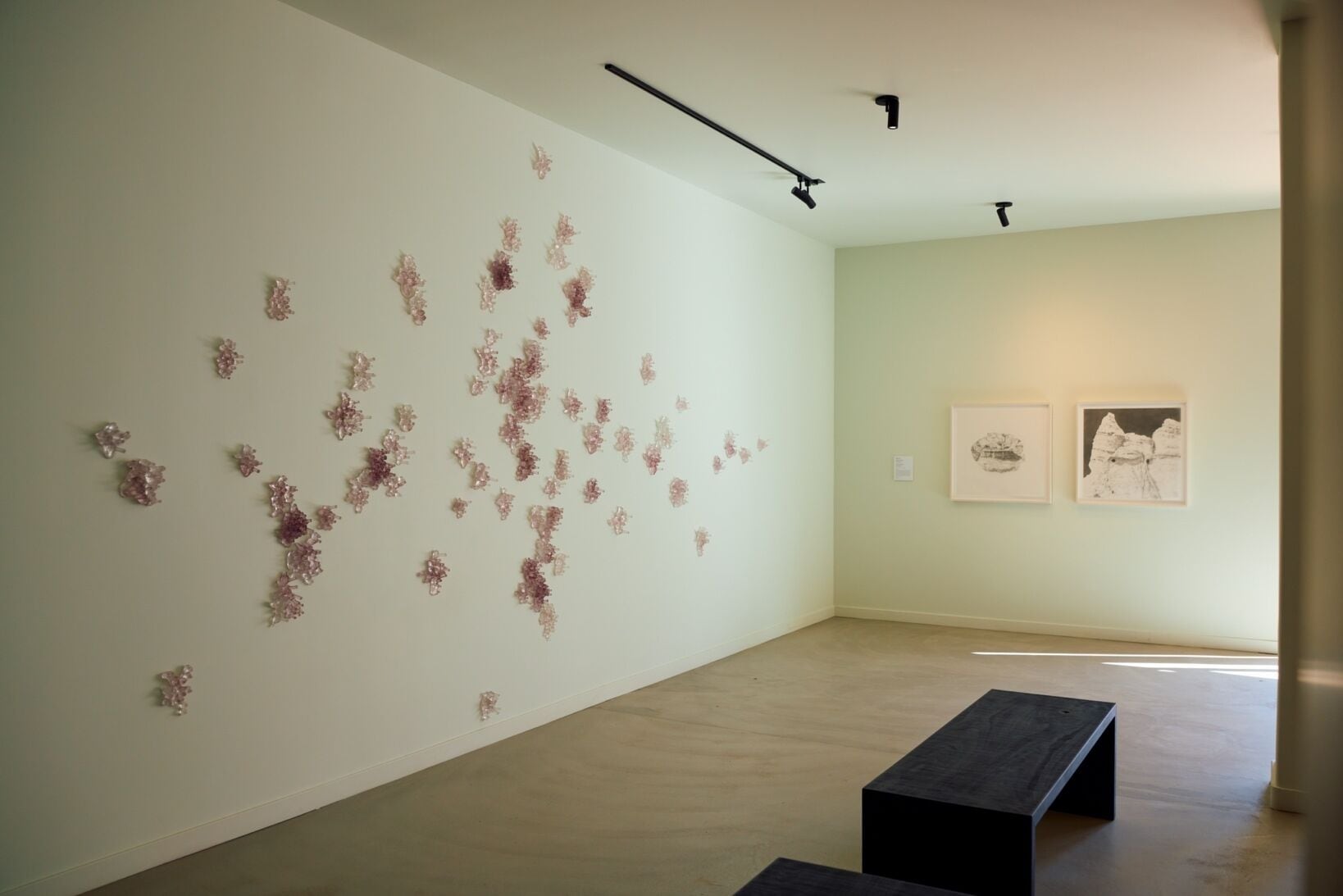 Une galerie d’art présentant des œuvres murales florales abstraites et deux peintures de paysages en noir et blanc, encadrées.