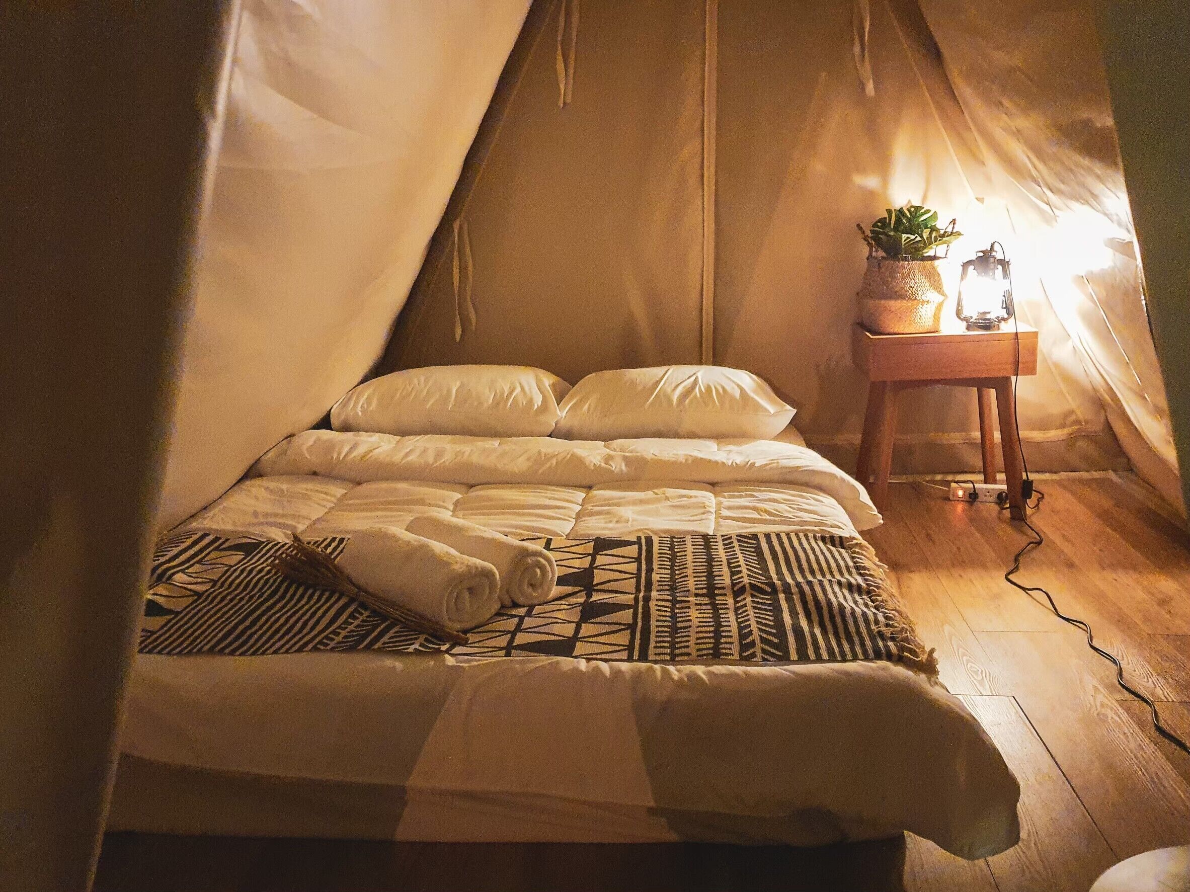 A cozy tented room with a bed, a small table with a lamp, and a potted plant.