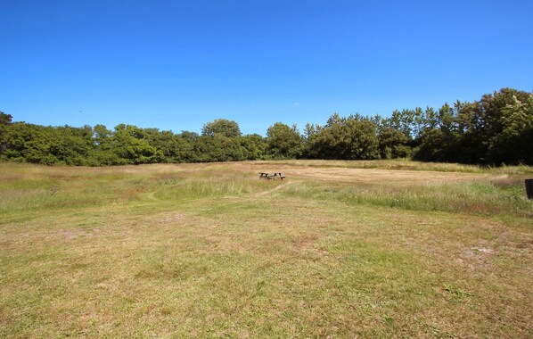 A grassy field with picnic tables and a dirt path leading through it.