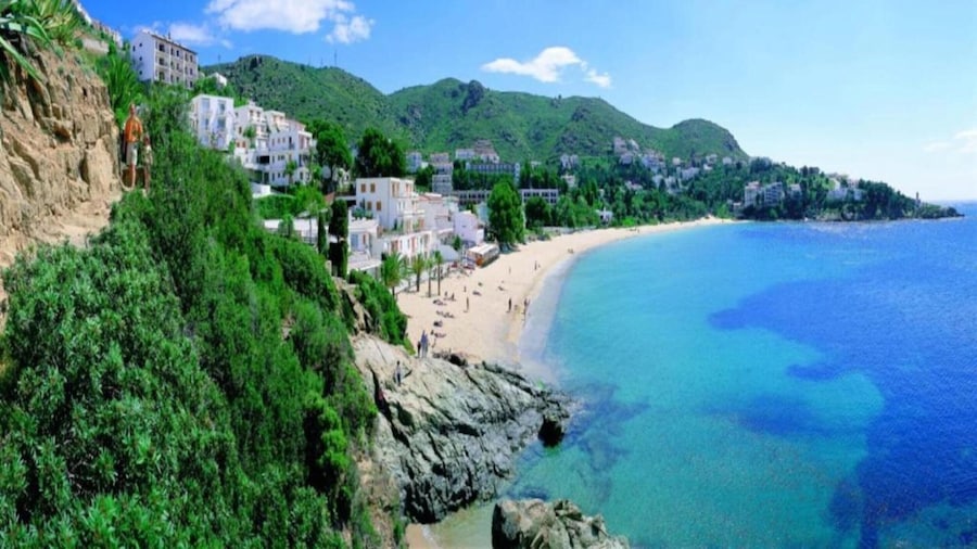 Apartment in Rosas Near Platja de Roses Beach