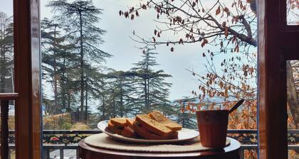 The Attic Suite at Shimla Gypsy with 360° view and a sky roof