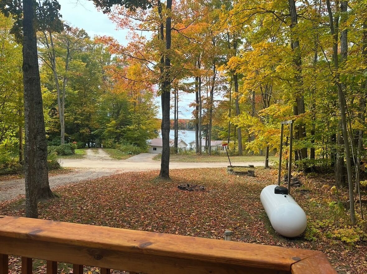 A forested area with a dirt path leading to a building.