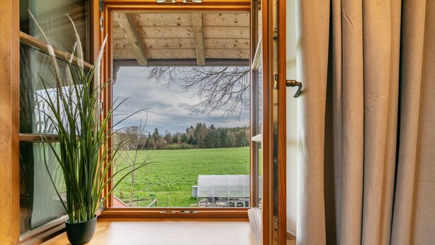 Ein Fenster mit Blick auf ein grünes Feld und Bäume, ein Blumentopf am Fensterbrett und eine Holzzieldecke.