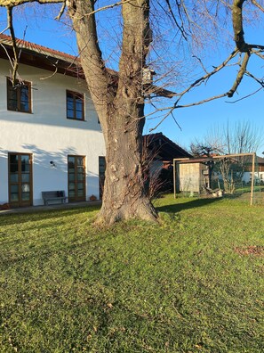 A house with a large tree in the front yard, a bench, and a fenced area. - Holiday Apartment 'Landnest' with Mountain View, Balcony and Wi-Fi (Prutting)