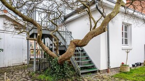 Un arbre devant un immeuble avec un escalier.