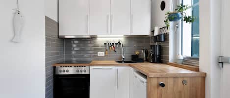 Fridge, oven, stovetop, dishwasher