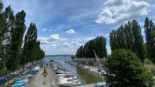 A marina with boats docked along a tree-lined path leading to the water. - Apartment 'Untersee' with Lake View, Private Terrace and Wi-Fi (Moos)