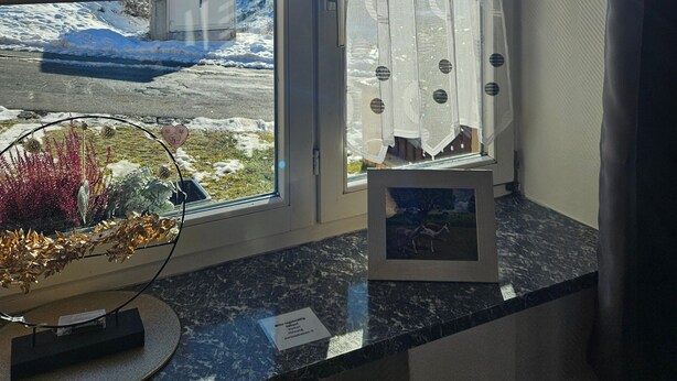 A room with a large window, a decorative plant, and a framed picture on the counter.