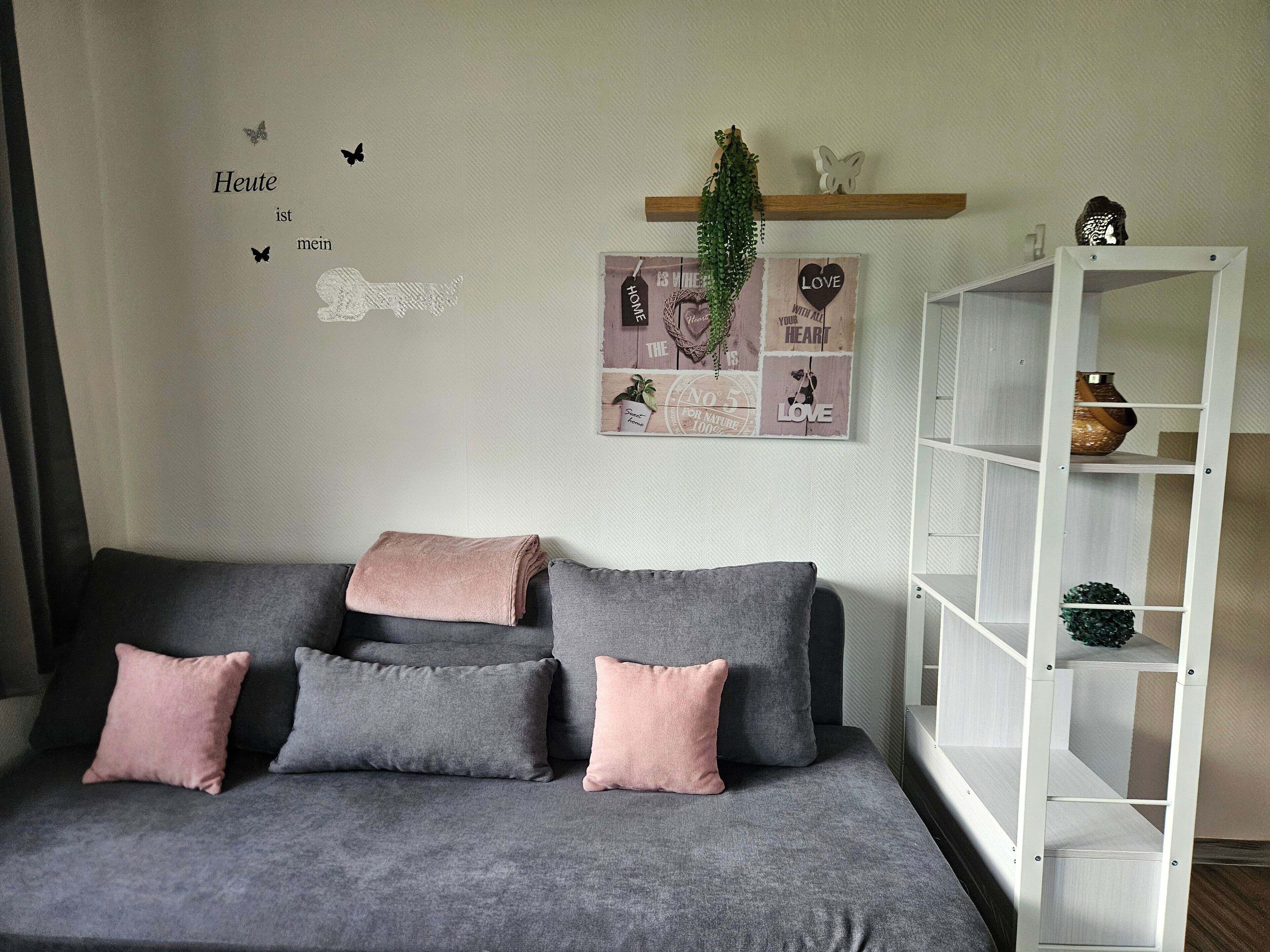 A modern bedroom with a grey sofa, pink cushions, a white bookshelf, and decorative wall art.