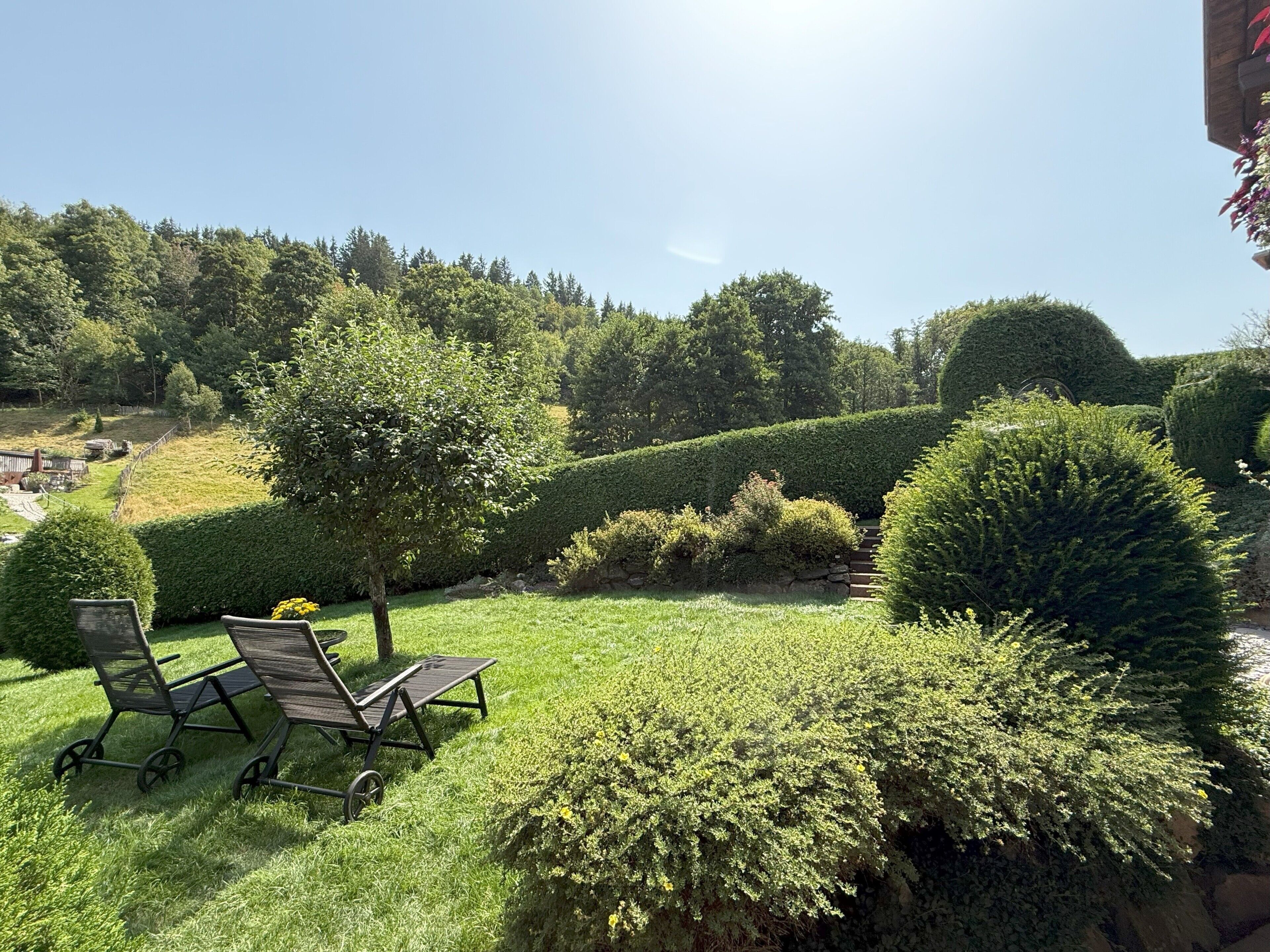 Parco della struttura