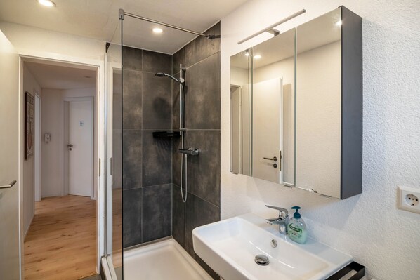 Shower, hair dryer, towels
