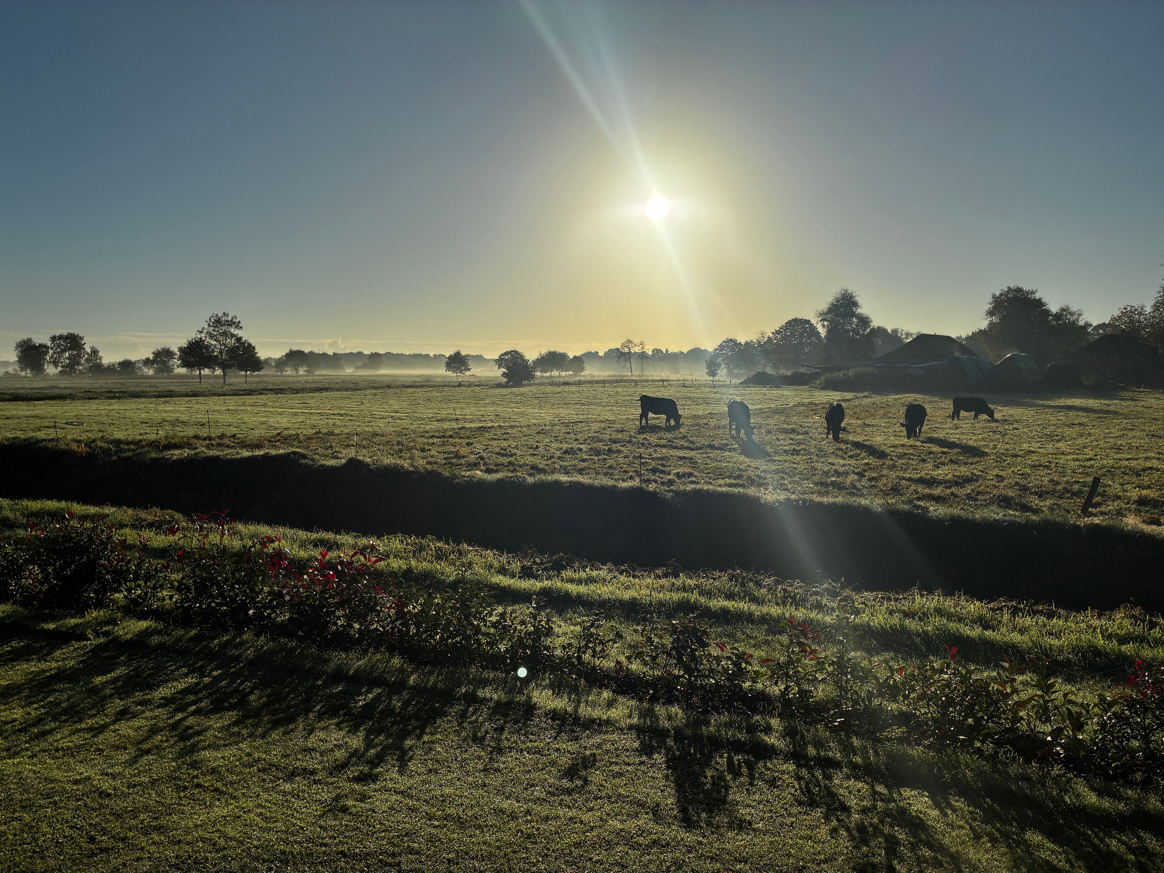 Eine weitläufige, offene Landschaft mit blauem Himmel und tief stehender Sonne, die lange Schatten wirft.