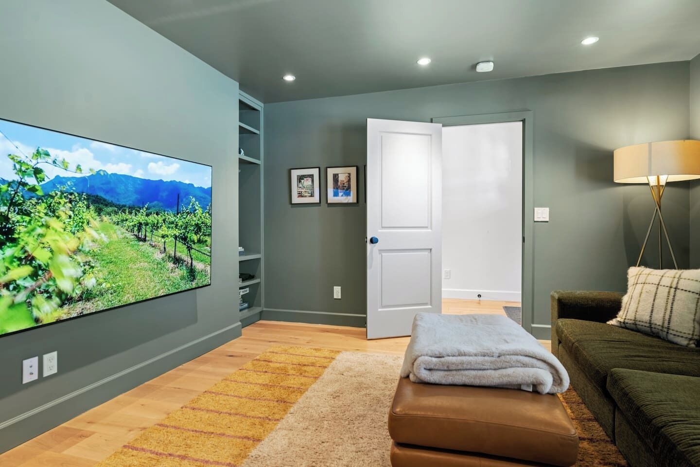 Smart TV, fireplace, books