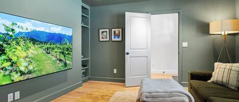 Smart TV, fireplace, books