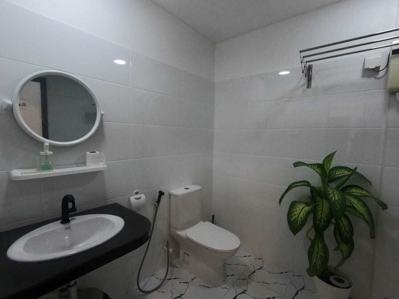 A bathroom with a sink, toilet, mirror, and a potted plant.
