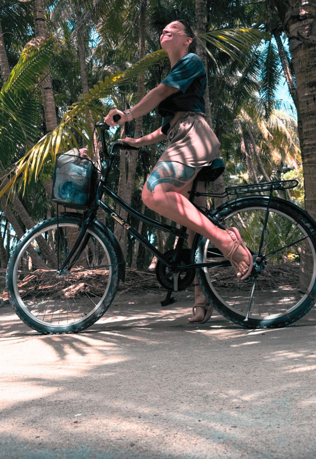 Una persona montando en bicicleta con una canasta, rodeada de palmeras.