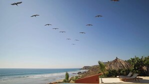 A beach view with a pool, lounge chairs, and a thatched-roof structure. - Luxury Eco in Troncones Casa Mia (Troncones)