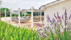 Restauration en plein air