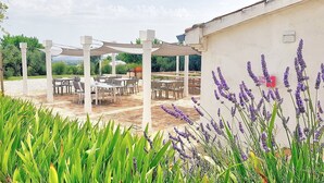 Un patio al aire libre con mesas y sillas, rodeado de follaje y plantas de lavanda.