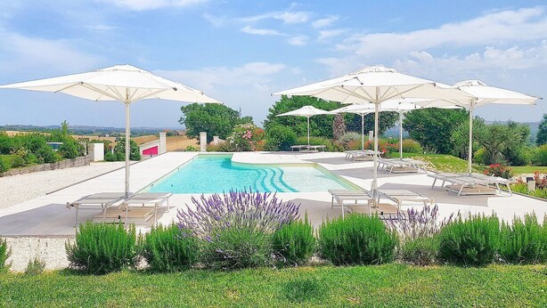 Una piscina con sillones de descanso y sombrillas, rodeada de vegetación y vistas al campo.
