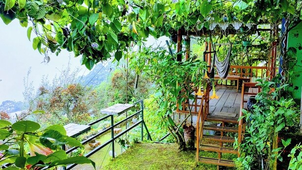 Ảnh chưa phân loại, 1 trong số 195 ảnh, nút