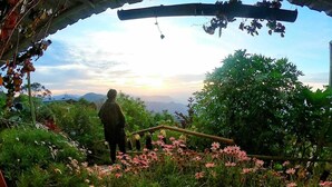 Ảnh chưa phân loại, 3 trong số 195 ảnh, nút