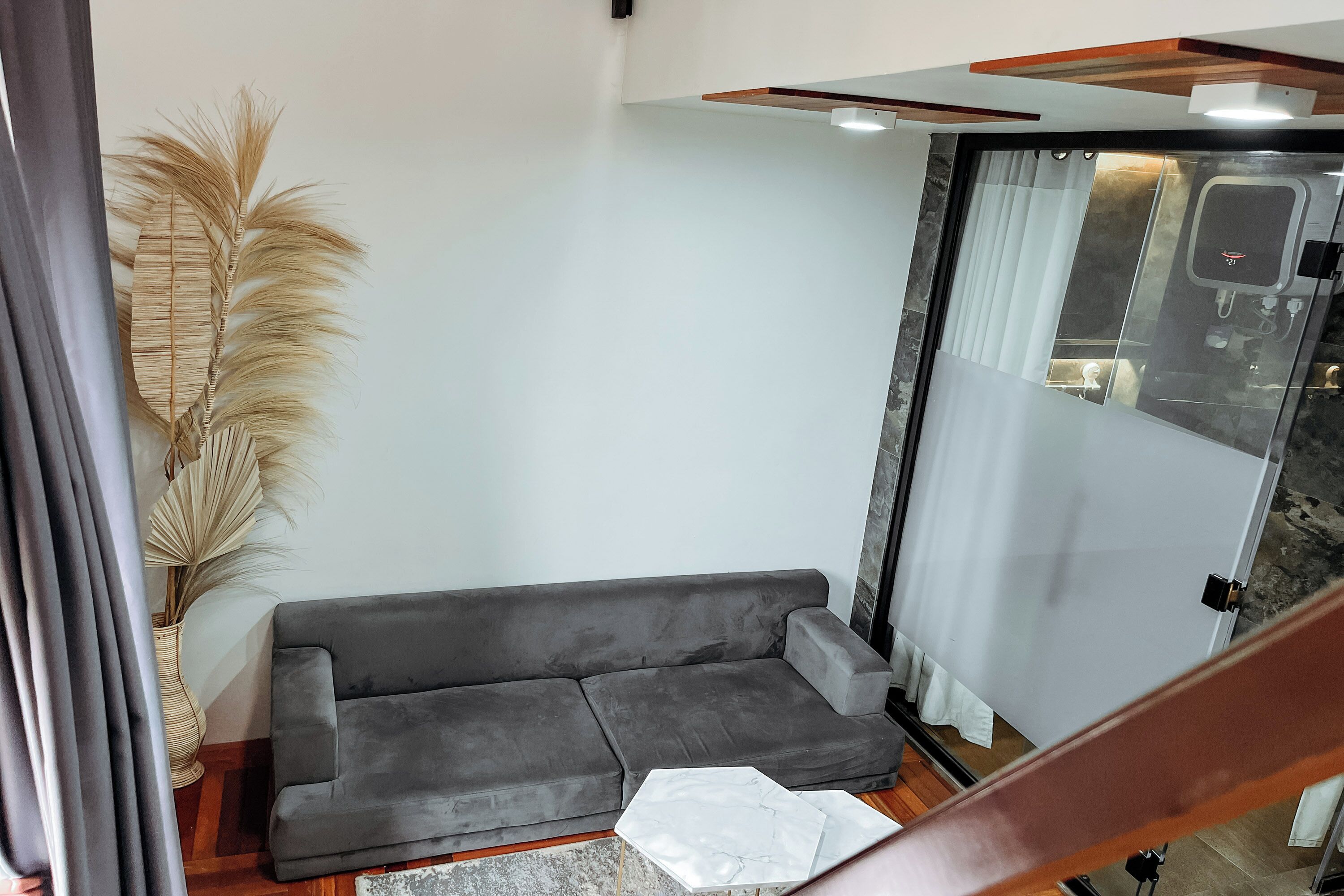 A modern living area with a grey sofa, a large decorative plant, and a glass partition separating the living space from a bathroom.