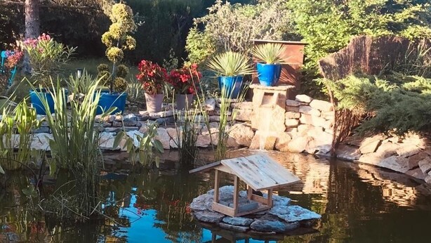 A pond with a wooden structure on a rock, surrounded by potted plants and trees. - The colors of Commarin 2-bedroom apartment with kitchen. (Commarin)