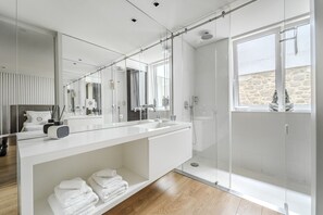 Shower, hair dryer, towels