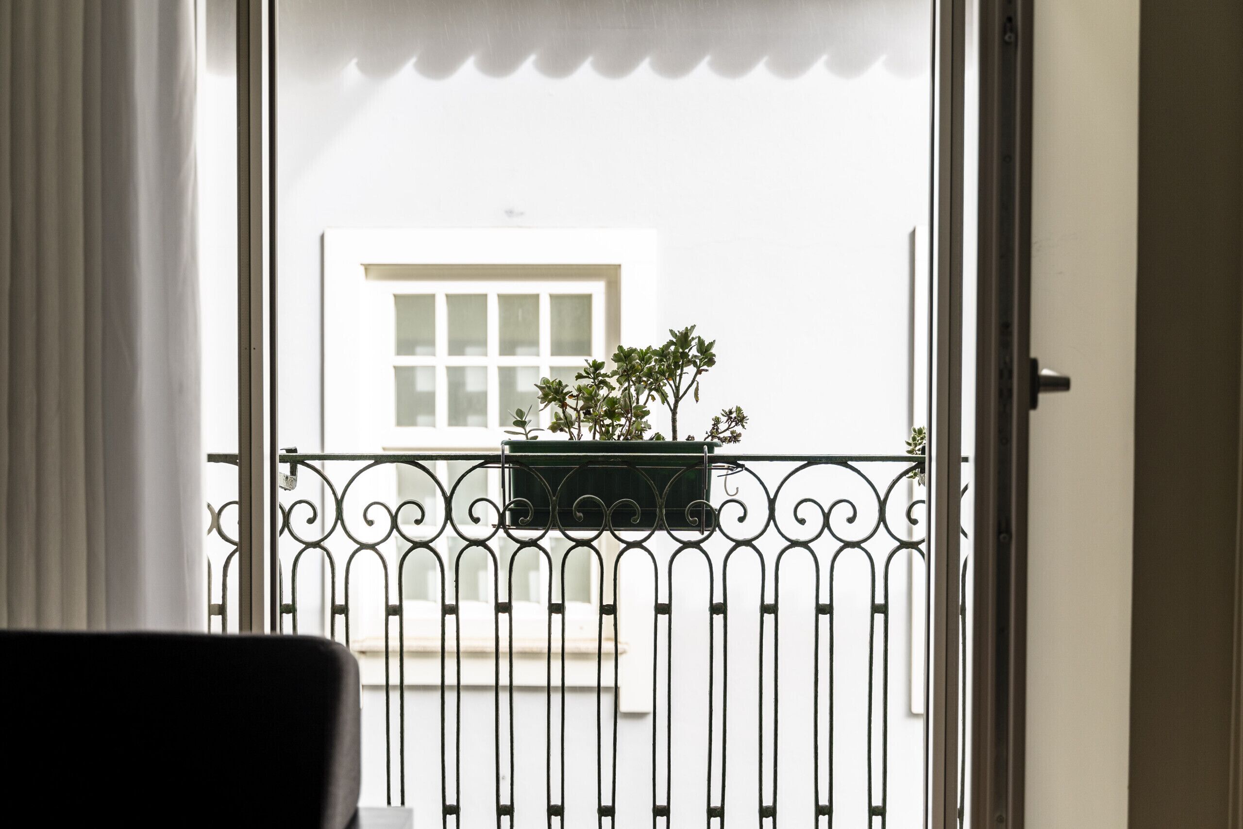 A balcony with a wrought iron railing, a potted plant, and a white building in the background.