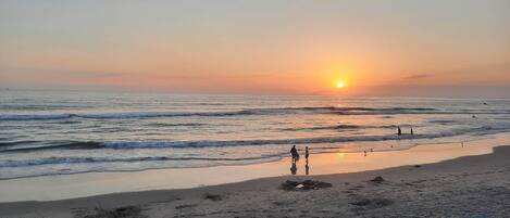 A la platja i tovalloles de platja