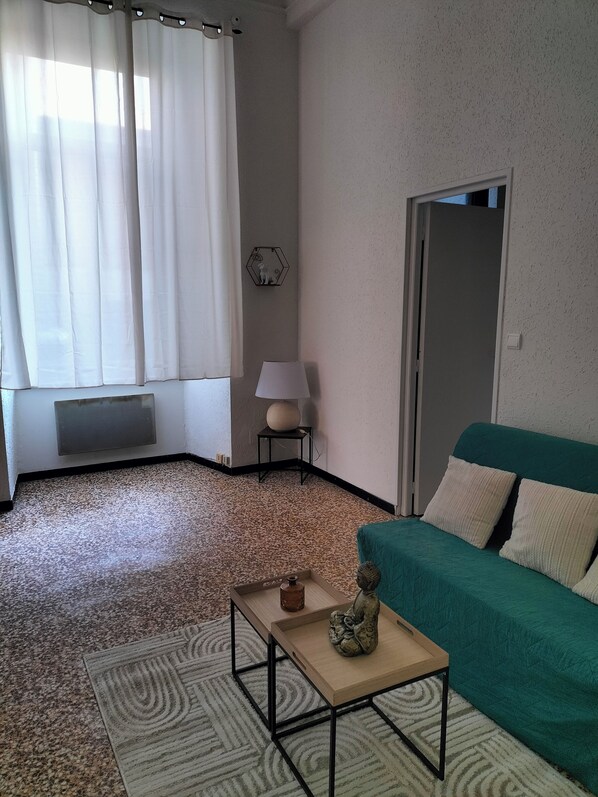 TV, table football, books - Pet-friendly apartment le petit paradis :) (Saint-Pons-de-Thomières)