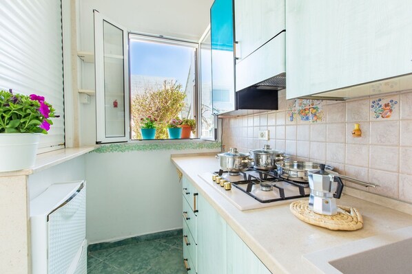 Fridge, microwave, stovetop, dishwasher