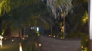 Un sendero pavimentado que atraviesa un jardín con palmeras e iluminación decorativa.