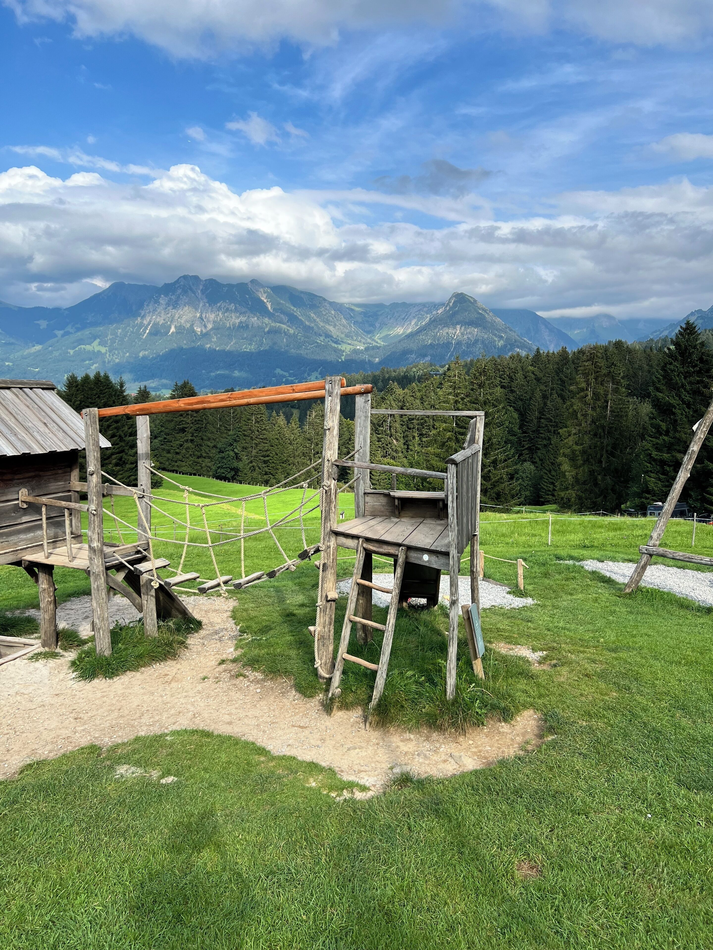 A rustic wooden structure with a rope bridge and ladder, surrounded by a grassy field and a mountain backdrop.